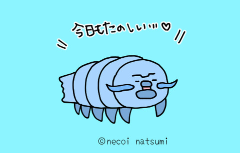 海の変な生き物たち ねこなつブログ 海の変な生き物たち ねこなつブログ