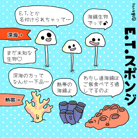 深海にまたやばいやつ 宇宙人感たっぷりの海綿生物 E T スポンジ ねこなつブログ 深海にまたやばいやつ 宇宙人感たっぷりの海綿生物 E T スポンジ ねこなつブログ