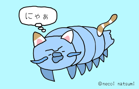 新種かもしれない 猫くらいの大きさのグソクムシ ねこなつブログ