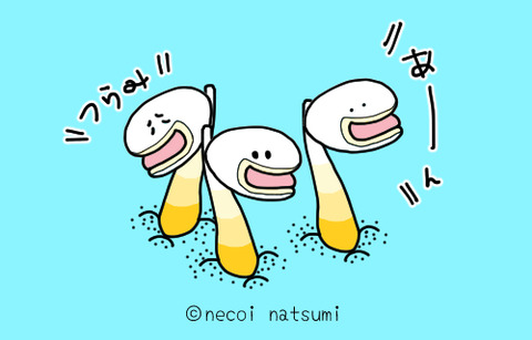 海の変な生き物たち ねこなつブログ