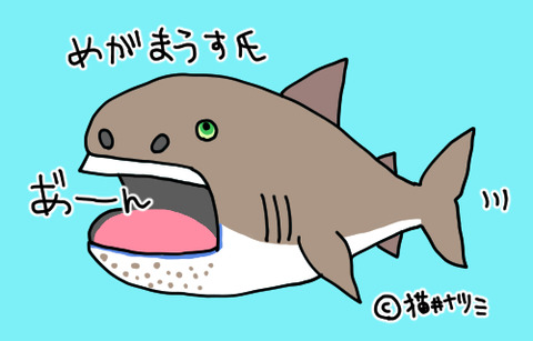 幻の巨大ザメ メガマウス 現る ねこなつブログ