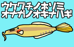 名前も顔も長 いお魚 ウケグチノホソミオナガノオキナハギ ねこなつブログ 名前も顔も長 いお魚 ウケグチノホソミオナガノオキナハギ ねこなつブログ