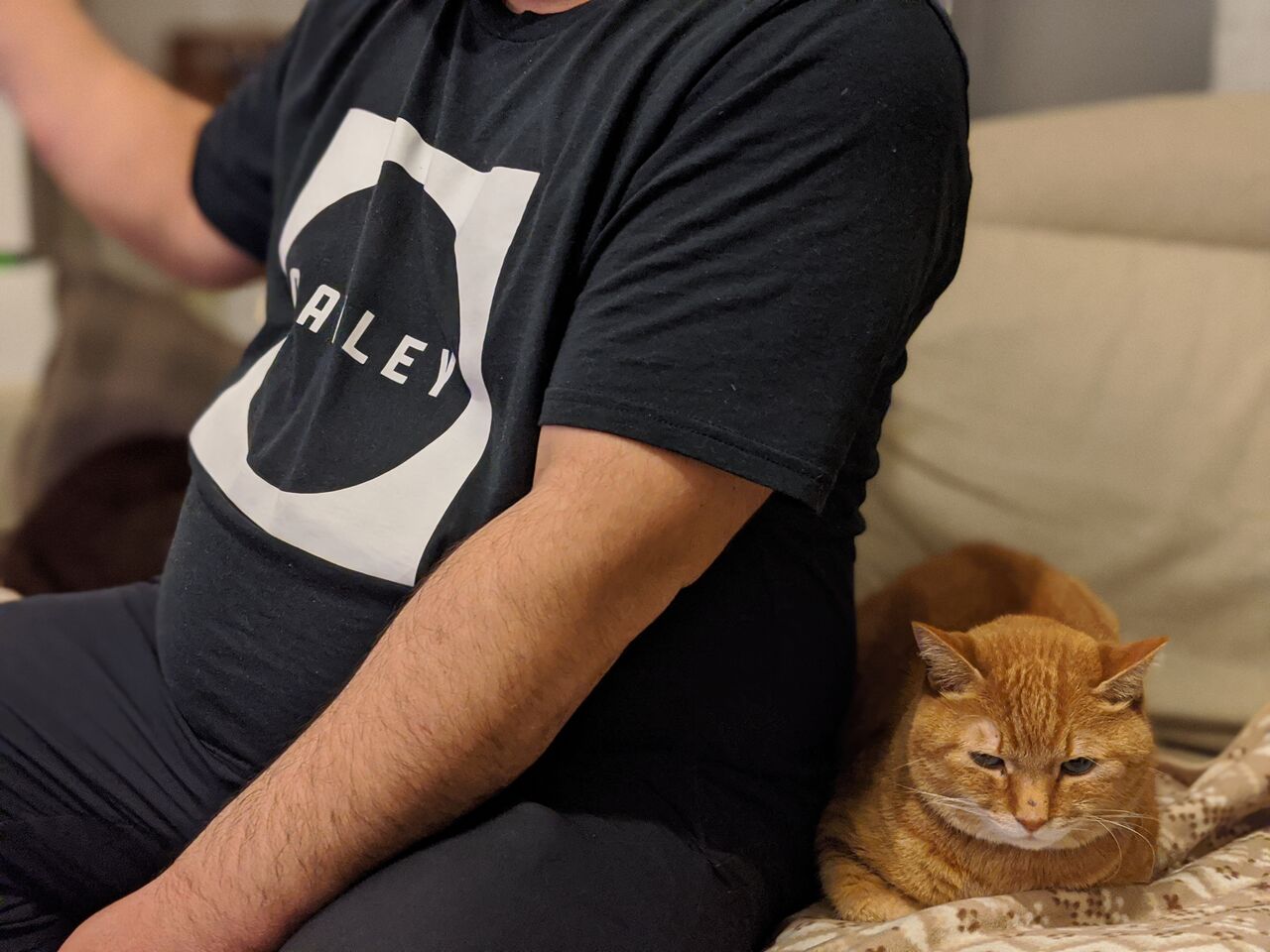 友人にもヤキモチし始めてきた猫ライフ : 猫嫌いの男が猫好きになった話