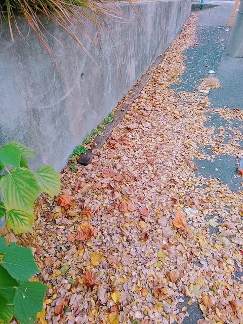 2019-11-25-15-58-41-278