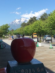 IMG_0514