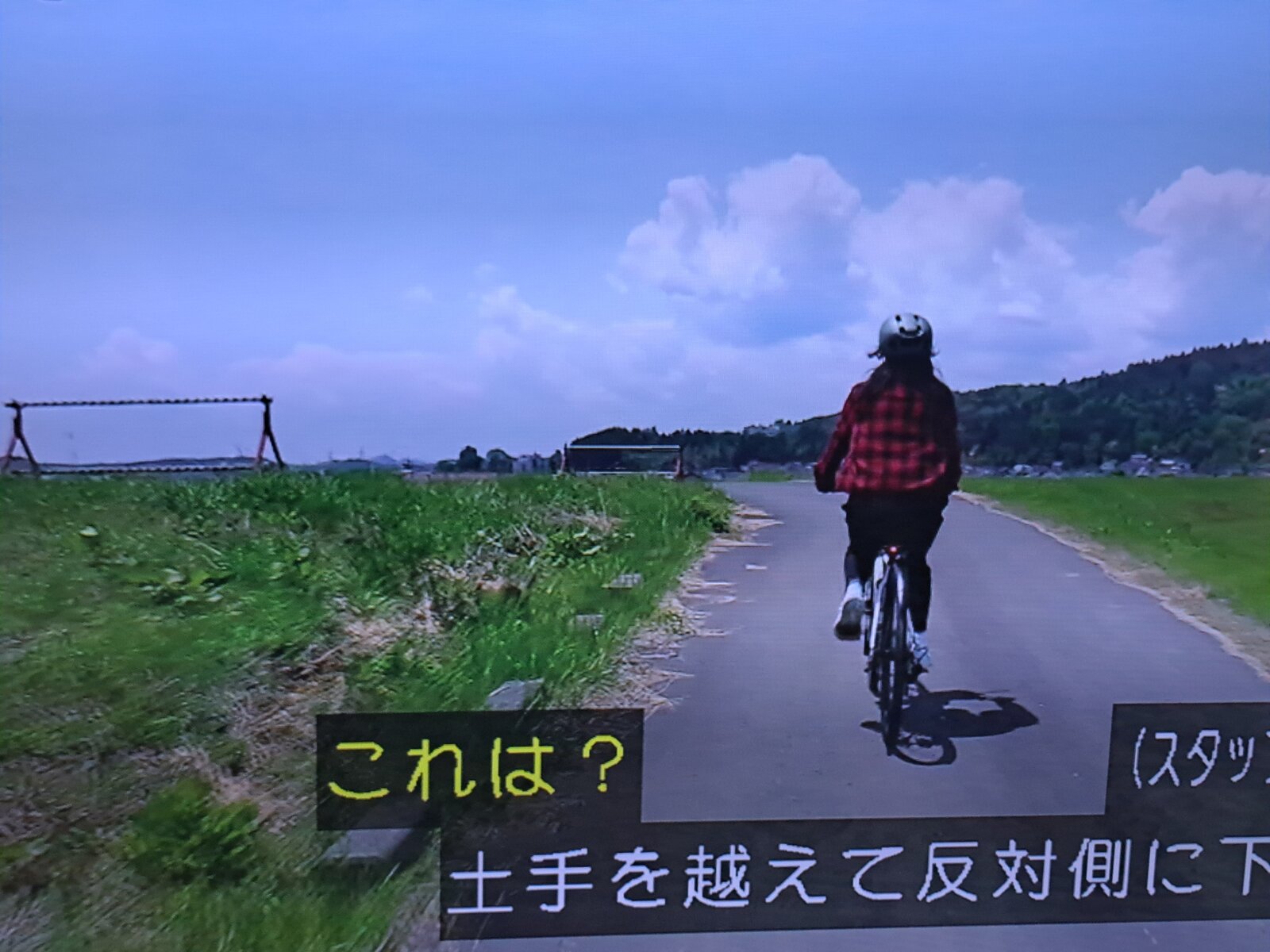 にっぽん縦断こころ旅、春の旅終了 : 猫の時間 しなじく