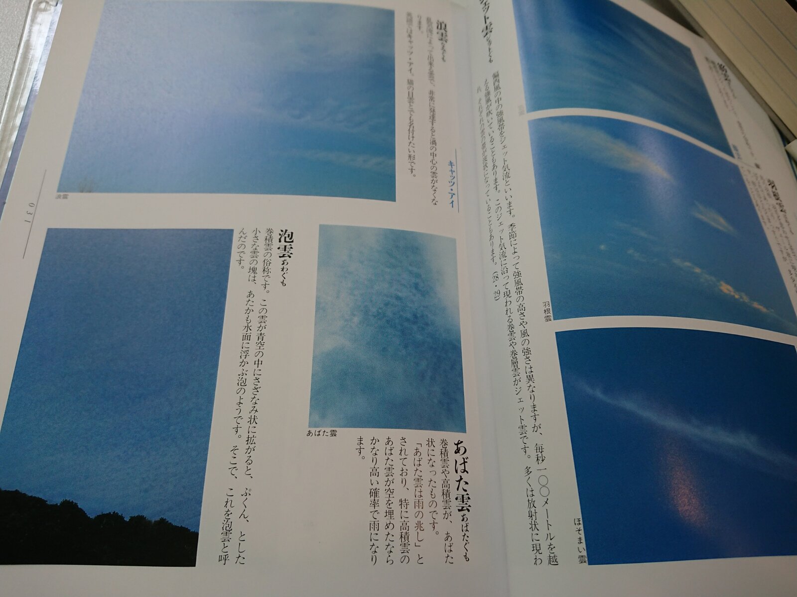 雲の展覧会 空の名前 猫の時間 しなじく