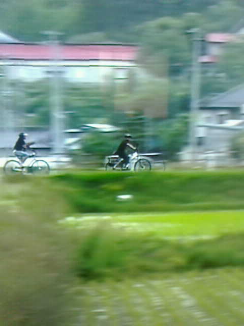 こころ旅八幡平へ 猫の時間 しなじく