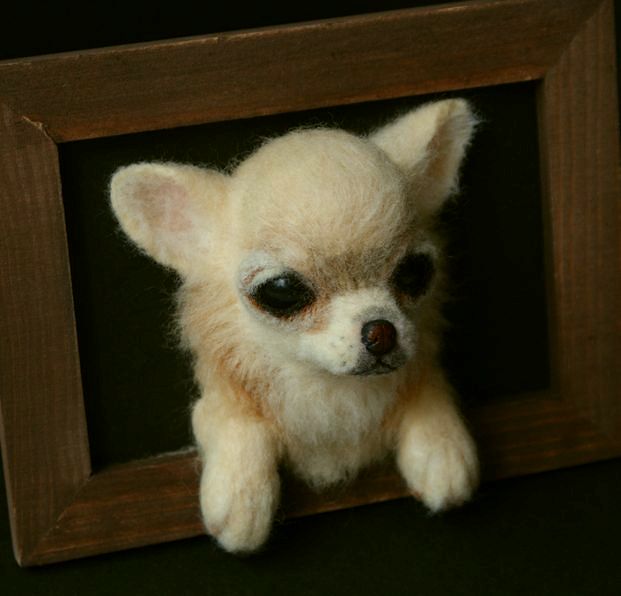 羊毛フェルト チワワ Www Vetrepro Fr