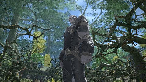 ff14ルガティン