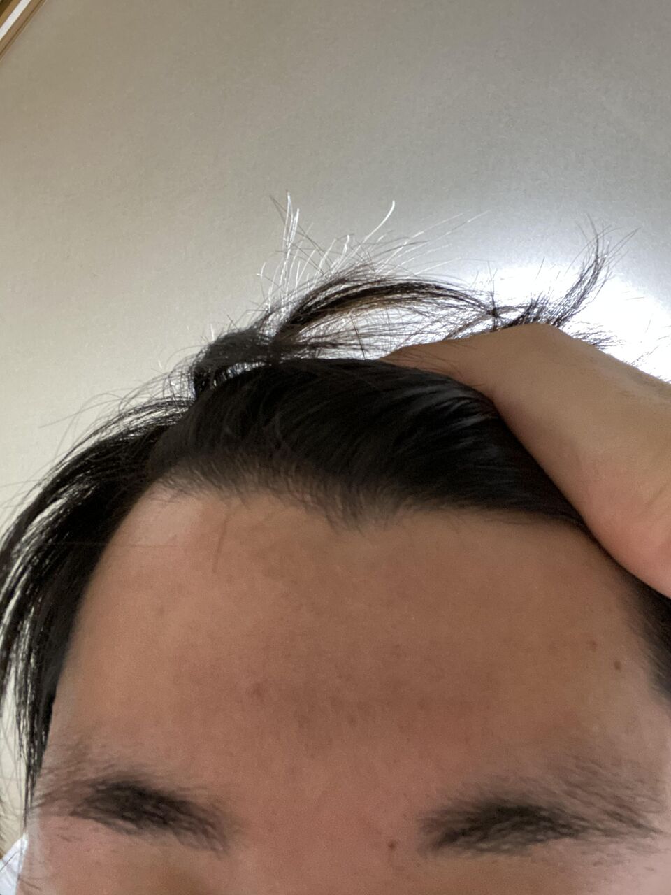 悲報 ワイ 眉毛を切りすぎ無事死亡 にーとたいむず