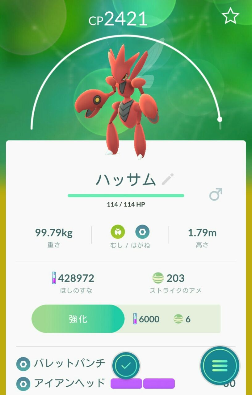 ジョウト地方のカッコイイ担当 今日の歩数 ジョウト地方のカッコイイ担当 今日の歩数