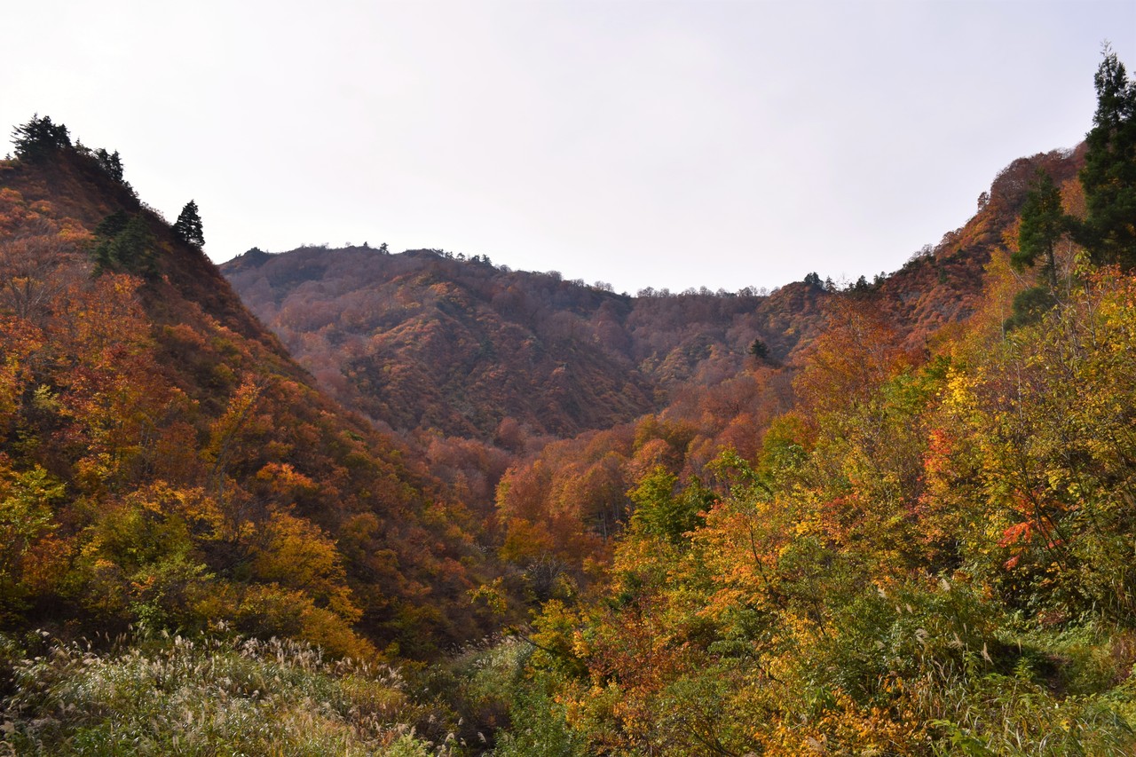 会津朝日岳 お気楽ハイカーの気まぐれお山探訪