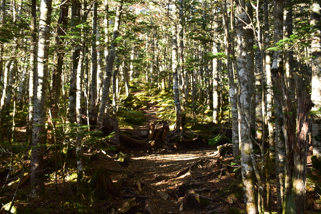 DSC_0749