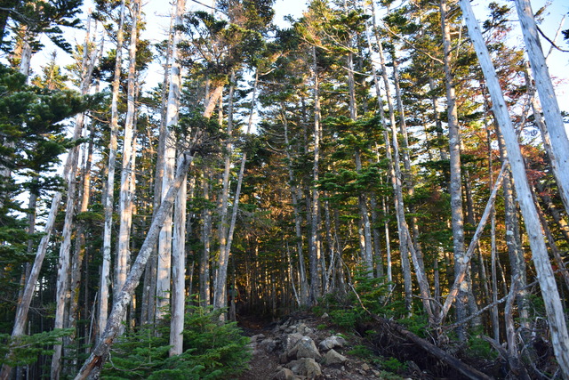 DSC_0721