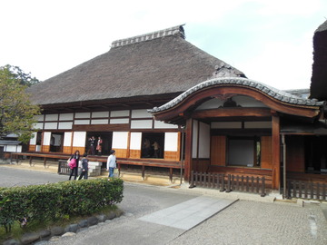 DSCN0843