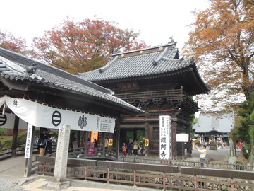 DSCN0822