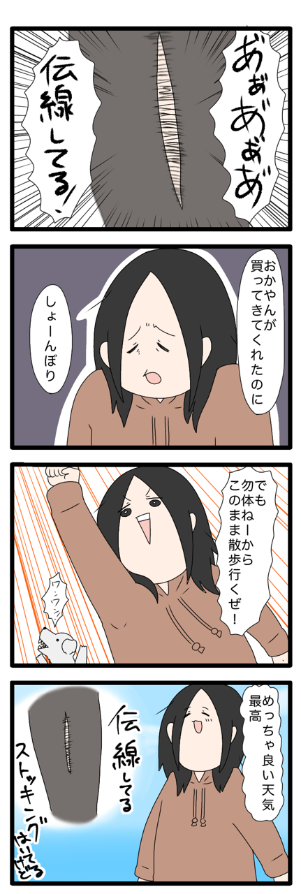 タイツよりもストッキングの方が天に召されるの早い ぬんの徒然日記 タイツよりもストッキングの方が天に召されるの早い ぬんの徒然日記