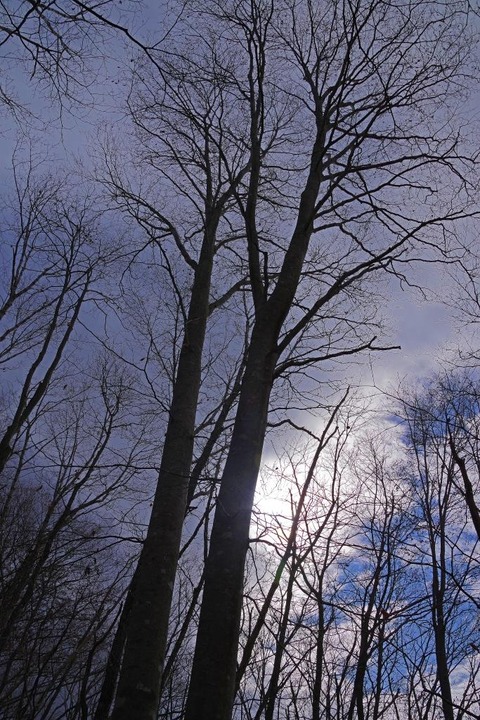 IMGP0880
