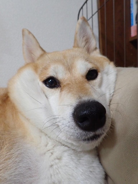 P8300012