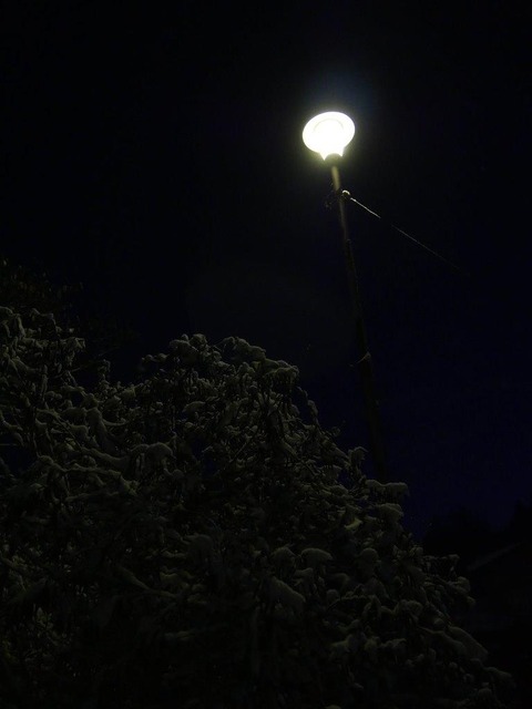 P1007429