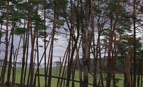 IMGP0872