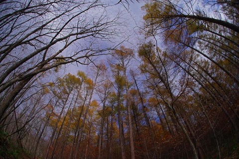 IMGP0907