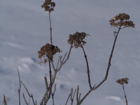 P1014109