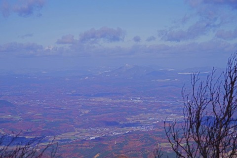 IMGP1111