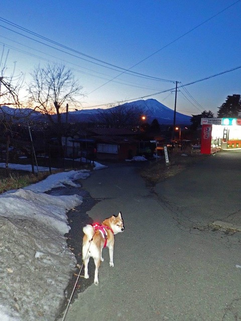 P3060003_edited-1