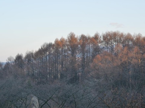 P1013117