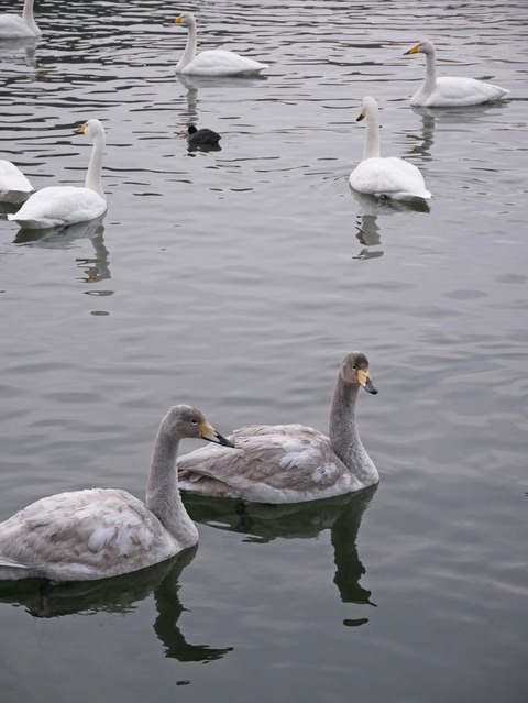 P1020803