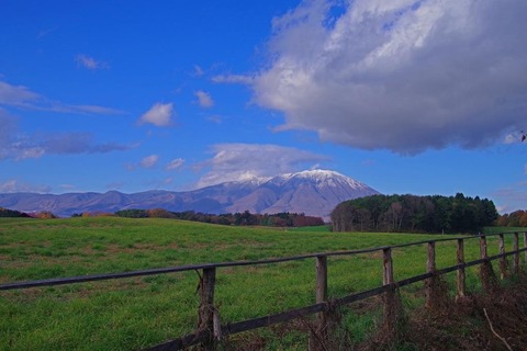 IMGP0936