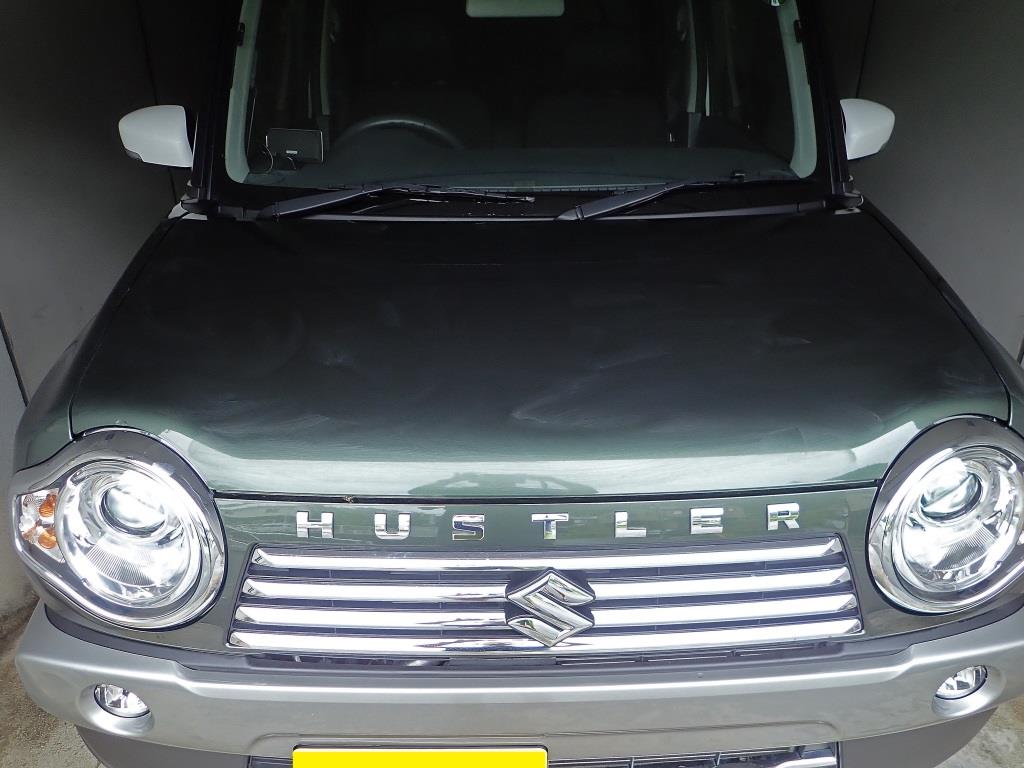 ワックス塗って塗りまくり キンカン塗って また塗って 柴わんこと暮らす日々