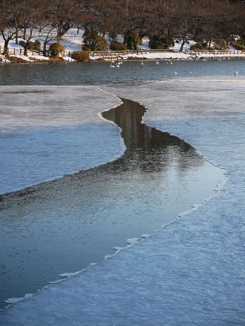 P1030270