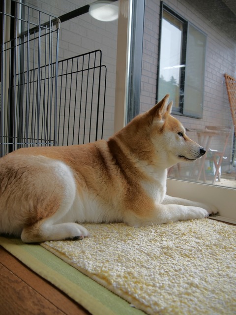 P1001288
