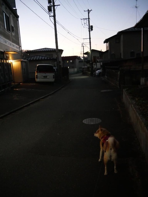 P1001849