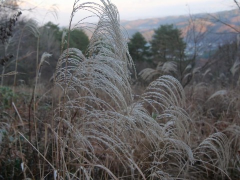 P1013102