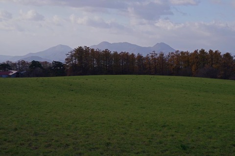 IMGP1073