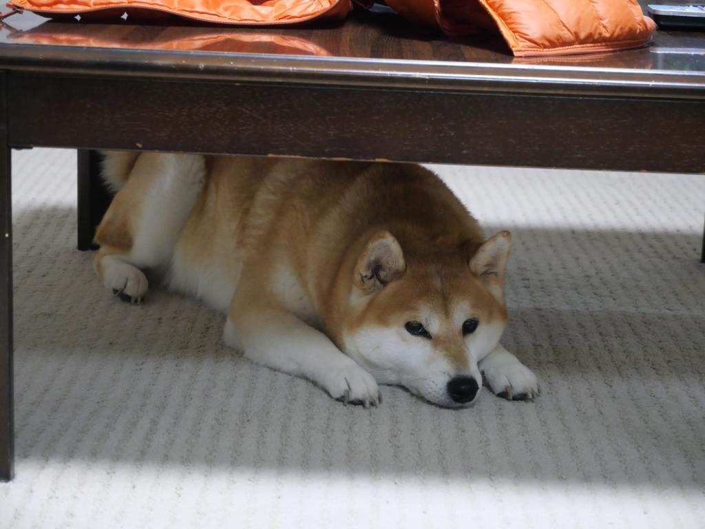 Suu4n4vhkjqqjm