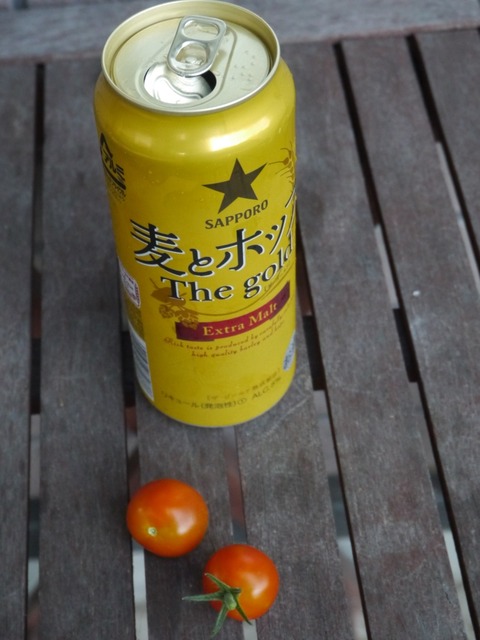 P1110666