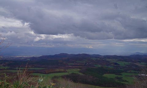 IMGP0882