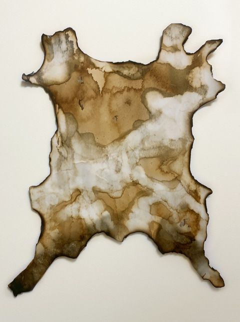 caffellatte_20201229_01のコピー