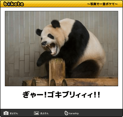 ゴキブリ