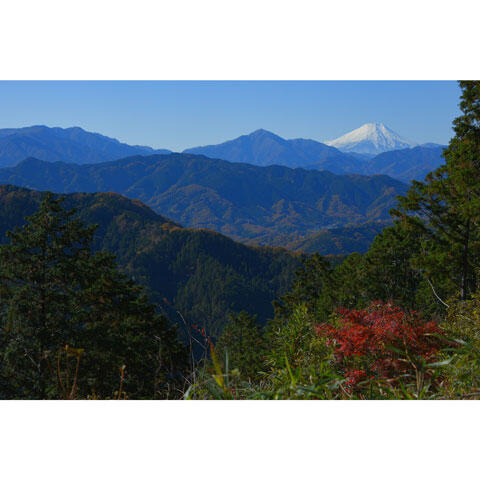 高尾山から見た富士山