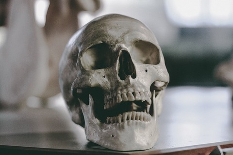 skull-g3feb4013c_640