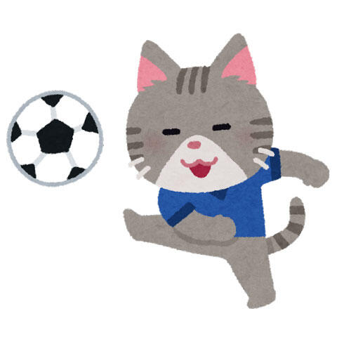 猫　サッカー