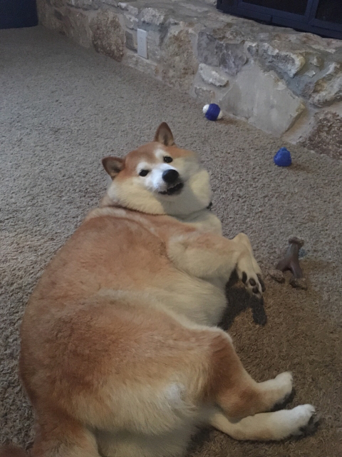 画像あり ガイジーヌの現在ｗｗｗｗｗｗｗｗ ネギ速