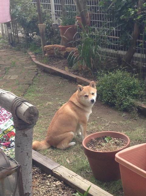 no title