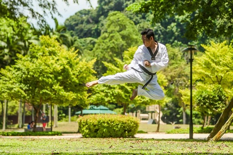 martial-arts-2924161_1280